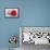 Conceptual Image of Platelet, Red Blood Cell and White Blood Cell-null-Framed Stretched Canvas displayed on a wall