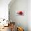 Conceptual Image of Platelet, Red Blood Cell and White Blood Cell-null-Stretched Canvas displayed on a wall