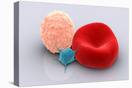 Conceptual Image of Platelet, Red Blood Cell and White Blood Cell-null-Stretched Canvas