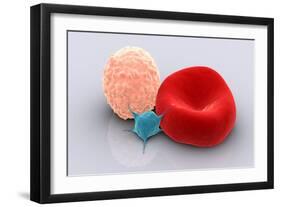 Conceptual Image of Platelet, Red Blood Cell and White Blood Cell-null-Framed Premium Giclee Print