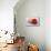 Conceptual Image of Platelet, Red Blood Cell and White Blood Cell-null-Mounted Premium Giclee Print displayed on a wall