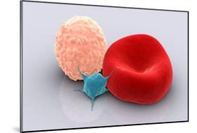 Conceptual Image of Platelet, Red Blood Cell and White Blood Cell-null-Mounted Premium Giclee Print