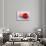 Conceptual Image of Platelet, Red Blood Cell and White Blood Cell-null-Stretched Canvas displayed on a wall