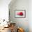 Conceptual Image of Platelet, Red Blood Cell and White Blood Cell-null-Framed Art Print displayed on a wall