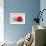 Conceptual Image of Platelet, Red Blood Cell and White Blood Cell-null-Framed Art Print displayed on a wall