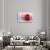 Conceptual Image of Platelet, Red Blood Cell and White Blood Cell-null-Art Print displayed on a wall