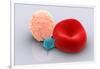 Conceptual Image of Platelet, Red Blood Cell and White Blood Cell-null-Framed Art Print