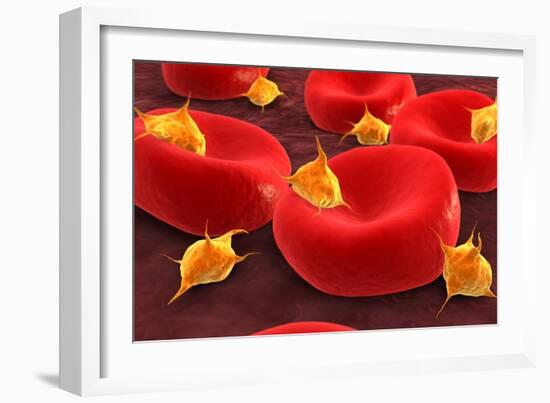 Conceptual Image of Platelets with Red Blood Cells-null-Framed Art Print
