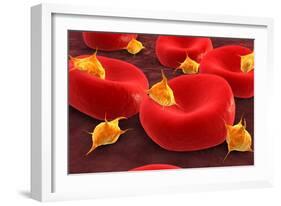 Conceptual Image of Platelets with Red Blood Cells-null-Framed Art Print