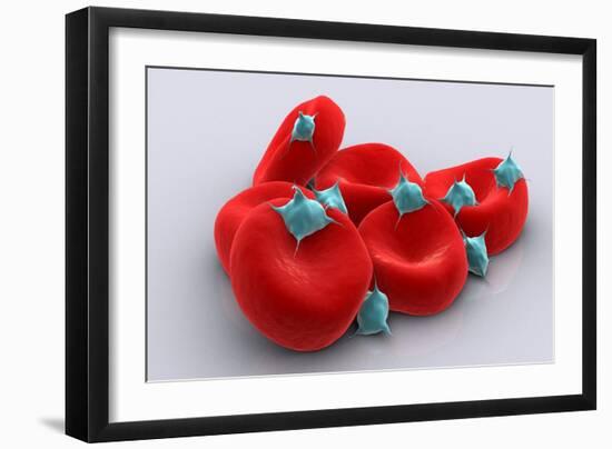 Conceptual Image of Platelets with Red Blood Cells-null-Framed Art Print