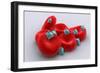 Conceptual Image of Platelets with Red Blood Cells-null-Framed Art Print