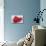 Conceptual Image of Platelets with Red Blood Cells-null-Mounted Art Print displayed on a wall