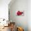 Conceptual Image of Platelets with Red Blood Cells-null-Mounted Art Print displayed on a wall
