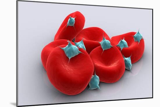 Conceptual Image of Platelets with Red Blood Cells-null-Mounted Art Print