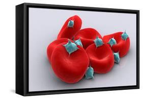 Conceptual Image of Platelets with Red Blood Cells-null-Framed Stretched Canvas