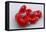 Conceptual Image of Platelets with Red Blood Cells-null-Framed Stretched Canvas