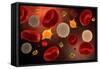 Conceptual Image of Platelets with Red Blood Cells-null-Framed Stretched Canvas