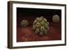 Conceptual Image of Polyomavirus-null-Framed Art Print