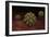 Conceptual Image of Polyomavirus-null-Framed Art Print