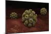 Conceptual Image of Polyomavirus-null-Mounted Art Print