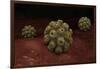 Conceptual Image of Polyomavirus-null-Framed Art Print