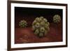 Conceptual Image of Polyomavirus-null-Framed Art Print