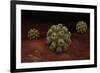 Conceptual Image of Polyomavirus-null-Framed Art Print