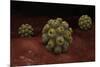 Conceptual Image of Polyomavirus-null-Mounted Art Print