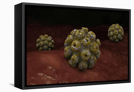 Conceptual Image of Polyomavirus-null-Framed Stretched Canvas