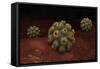 Conceptual Image of Polyomavirus-null-Framed Stretched Canvas