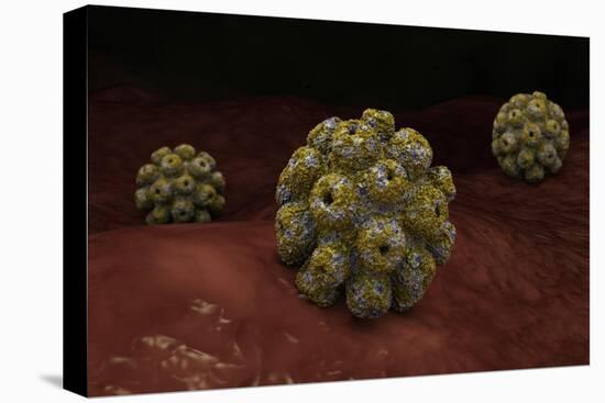 Conceptual Image of Polyomavirus-null-Stretched Canvas