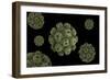 Conceptual Image of Polyomavirus-null-Framed Art Print