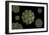 Conceptual Image of Polyomavirus-null-Framed Art Print