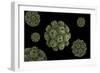 Conceptual Image of Polyomavirus-null-Framed Art Print