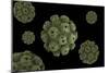 Conceptual Image of Polyomavirus-null-Mounted Art Print