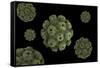 Conceptual Image of Polyomavirus-null-Framed Stretched Canvas