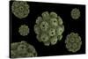 Conceptual Image of Polyomavirus-null-Stretched Canvas