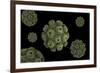 Conceptual Image of Polyomavirus-null-Framed Art Print