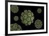 Conceptual Image of Polyomavirus-null-Framed Art Print