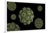 Conceptual Image of Polyomavirus-null-Framed Art Print