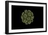 Conceptual Image of Polyomavirus-null-Framed Art Print