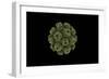 Conceptual Image of Polyomavirus-null-Framed Art Print