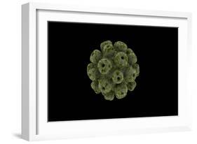 Conceptual Image of Polyomavirus-null-Framed Art Print