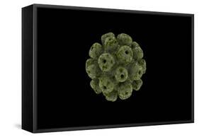 Conceptual Image of Polyomavirus-null-Framed Stretched Canvas