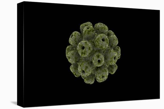 Conceptual Image of Polyomavirus-null-Stretched Canvas