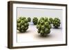 Conceptual Image of Polyomavirus-null-Framed Art Print