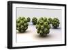 Conceptual Image of Polyomavirus-null-Framed Art Print