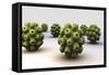 Conceptual Image of Polyomavirus-null-Framed Stretched Canvas