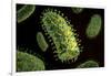 Conceptual Image of Rabies Virus-null-Framed Art Print