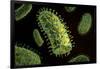 Conceptual Image of Rabies Virus-null-Framed Art Print